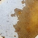 낙화담캠핑장 이미지