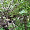 감자와 스무디 이미지