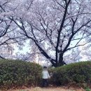 동삭2교 이미지