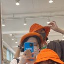 제주 하연 이미지