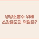소장 이미지