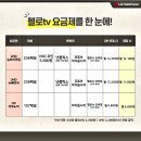 헬로콘텐츠