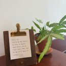 스테이남해 이미지