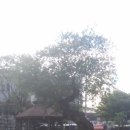 당산금호어울림아파트 네이버블로그