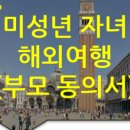 솔루션(SOLUTION) 번역행정사 네이버블로그