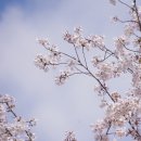 금빛근린공원 이미지