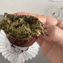 일광골드타워1차 이미지