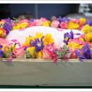 복실이 PC 이미지