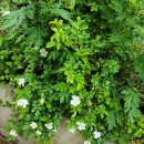 김천화장장 이미지