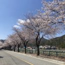 무주안성터미널 이미지