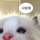 기도삽관후유증