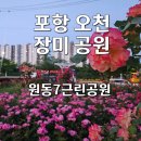 연일근린공원 | 🌹 포항 가볼만한 곳 오천 장미 향 가득, 숨은 힐링 명소 포항 장미공원 원동7근린공원 산책 후기