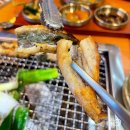 태동장어 이미지