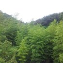 또,영