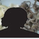 [사건 Inside] (26) 2년만에 드러난 인천 ‘산낙지 질식사 사건’ 이미지