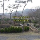 전원농원