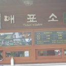 일출랜드식물원 티스토리