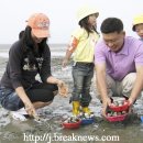 만돌어촌체험휴양마을 이미지