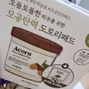 🐿️ 스킨푸드 에이콘 포어 펩타이드 도토리 패드 솔직 후기 🐿️