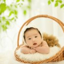 홍당무그린스튜디오 이미지