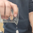 실험과학 (저) 이미지