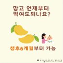 (주)웰팜 | 중기이유식 망고 퓨레 언제부터 6개월 아기 주는 방법 주의할점 냉동 아카시아