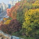 펠톤학원