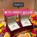 불가리안경 | [웨딩밴드] 불가리 세르펜티 바이퍼 링 후기 (feat. 압구정 갤러리아 할인 받기)