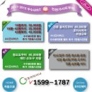 조은직업소개소 - 제주시 | 조은직업소개소