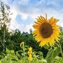 태백농원 이미지