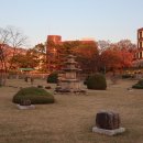 경북대학교