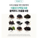 정운푸드 | 탈모 두피 앰플로 볼륨업! 축 처진 헤어에 자신감을!(팡팡바이정운 한달 사용후기)