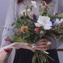 민국 행정사 이미지