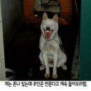 화로닭발 이미지