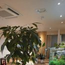 송파구 한성백제왕도길 | 발의 피로를 싹! 송파구마사지, 더풋샵마사지 한성백제잠실점 발관리 후기