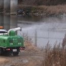 김포메추리농장 이미지