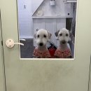 복탄산수 이미지