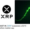 세계 금융 시스템이 골고루 블록체인에 들어갑니다, 그리고 XRP가 세계의 주역이 됩니다! 이미지