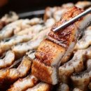 갑을장어 이미지