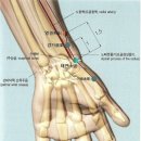 김한의원 이미지