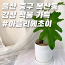 아뜰리에초이 이미지