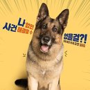 (주)원맨쇼 이미지