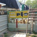 바둑이펫 네이버블로그