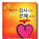 교육연구소사람과삶 이미지