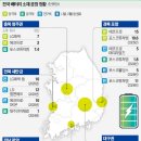 등  석 이미지