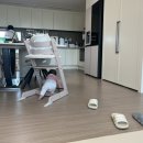 (주)올바른정육점
