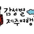 알로하민박 이미지