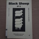 블랙쉽 - 미추홀구 인하로67번길 24-23 | [독서후기]블랙쉽(브랜트 맨스워) 독서 완료.