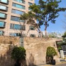 서리풀8길 5 이미지