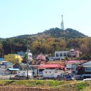 서도면사무소 이미지